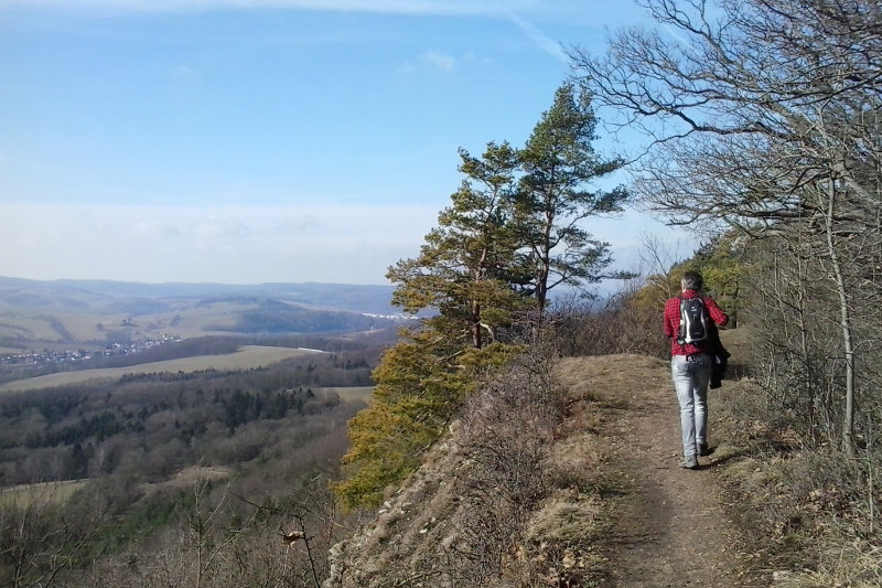 Wanderweg auf dem Großen Hörselberg