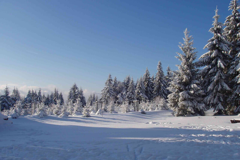 Winterlandschaft im Thüringer Wald