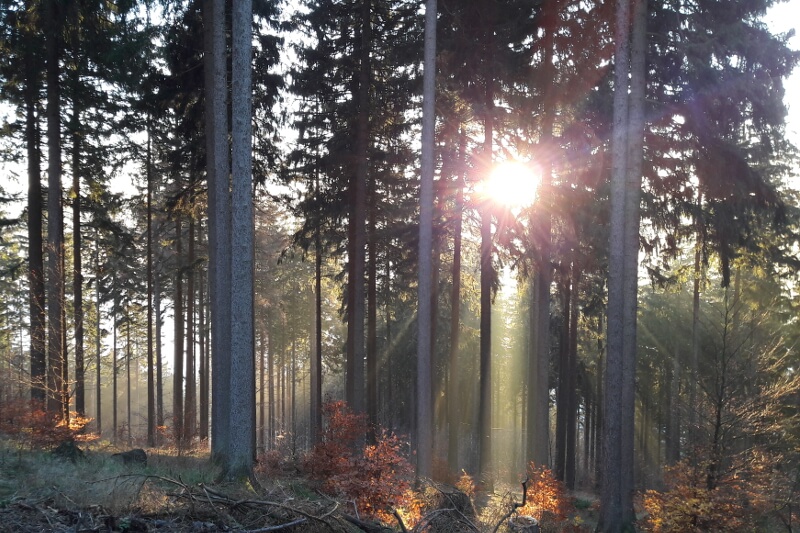 Ruhla im Herbst, Herbtwald, Sonnenuntergang