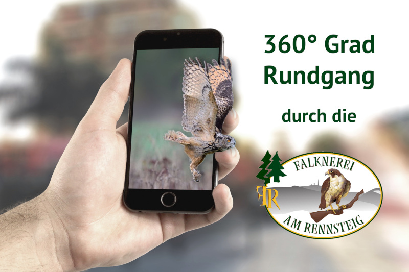 Rundgang Falknerei